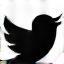 X (Twitter)